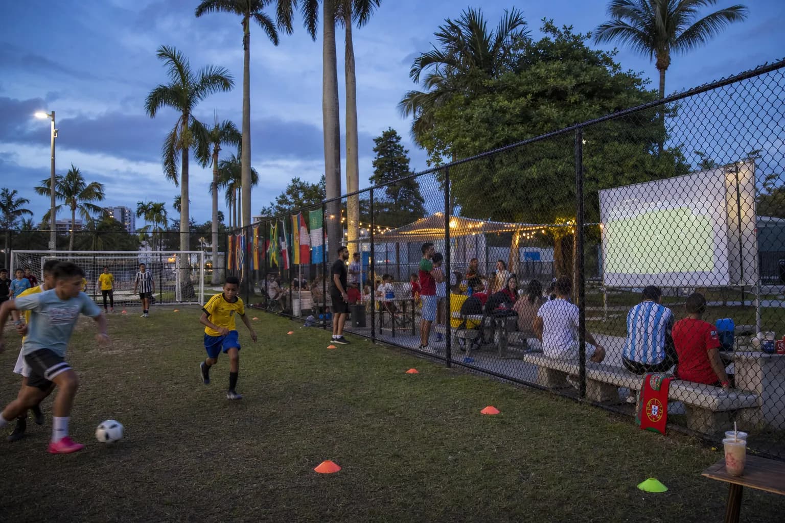 Can Miami Make World Cup Final 2026 Work as a Last World Cup Memory? - varied World Cup scene 3