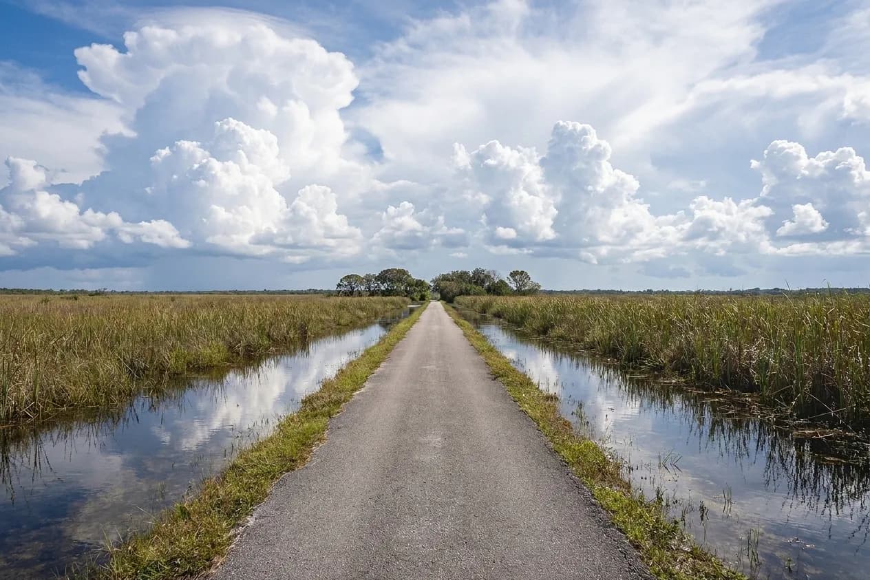 A straight paved path running into a flat sawgrass wetland under a wide sky, low trees clustered on the horizon, water either side