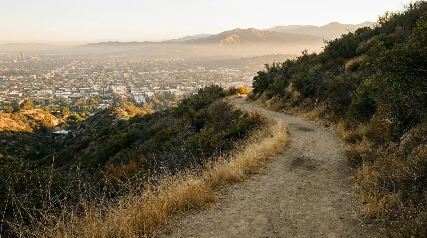 A hiking trail in the Los Angeles hills with a view of the city