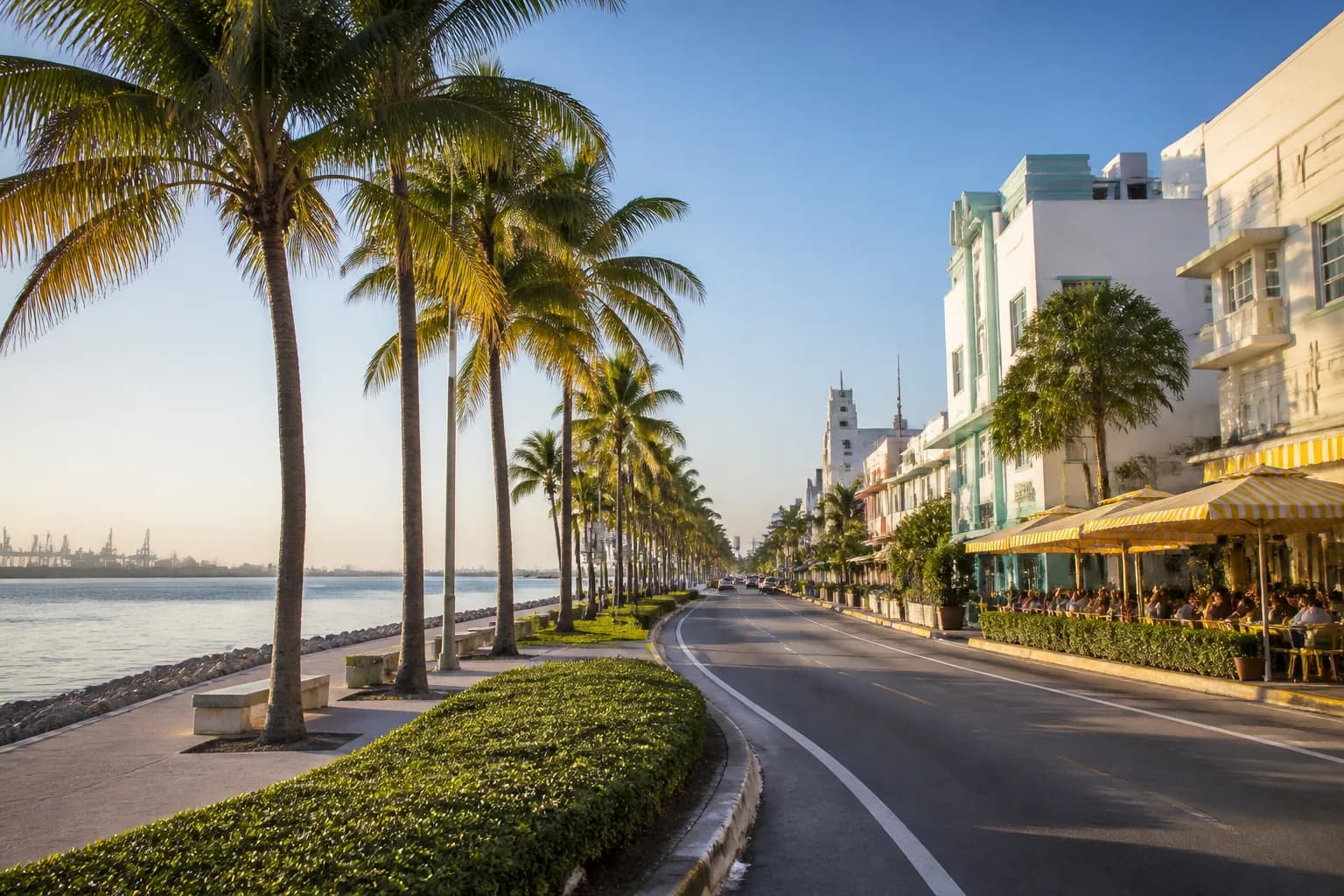 Realistic Miami food and neighborhood scene