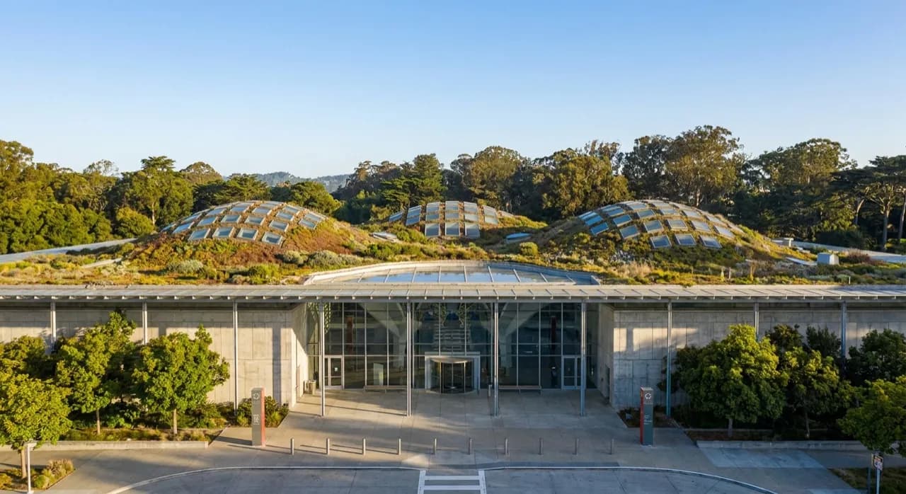 California Academy of Sciences green roof and entrance on a hot summer day in Golden Gate Park
