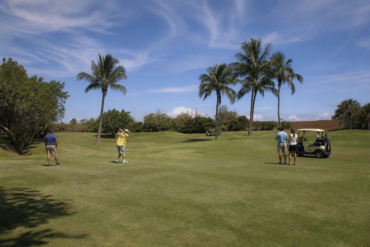 Cover scene for Honoring Matt McQuillan Canadian Golfer: Miami Golf Course Etiquette Guide