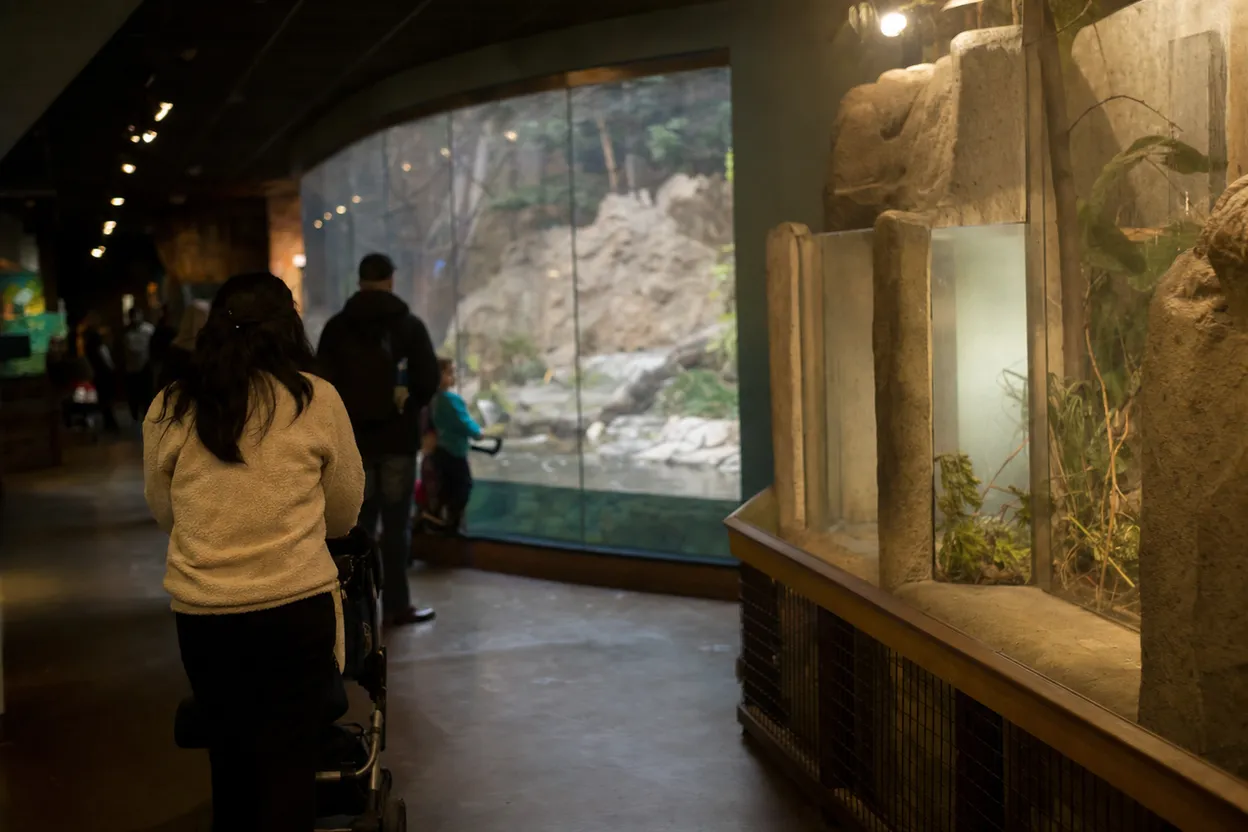 NYC experience scene for Staten Island Zoo Reptile House: A Rainy Family Stop Before Dinner