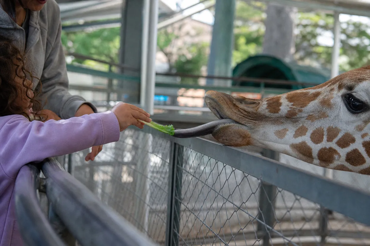 Editorial detail for Staten Island Zoo Reptile House: A Rainy Family Stop Before Dinner