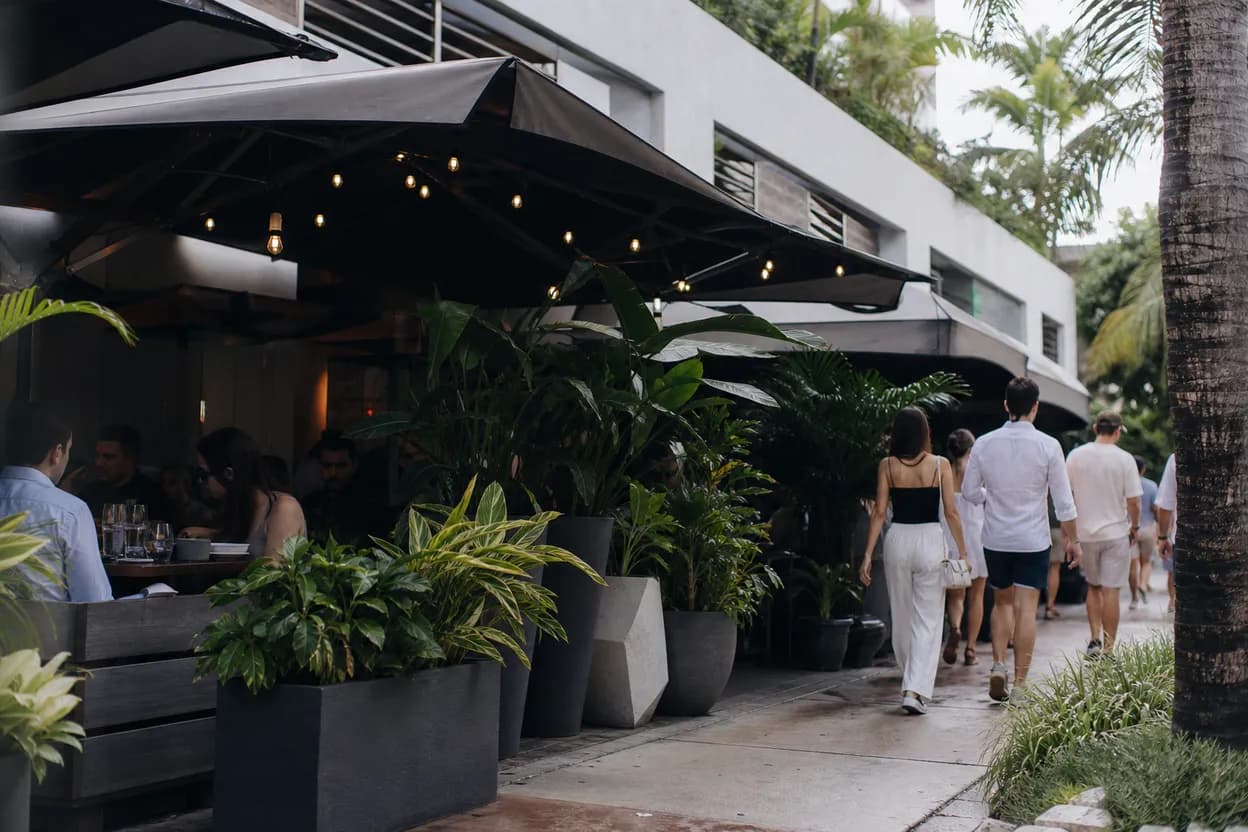 Miami experience scene for Where to Watch Wyndham Championship in Miami: A Local Fan's Guide