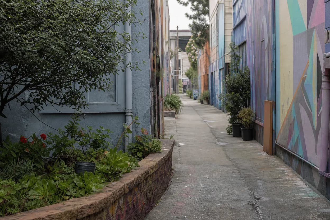 Editorial detail for Uncovering Hidden Gems: Where Harry Jowsey Might Find Unique San Francisco Finds