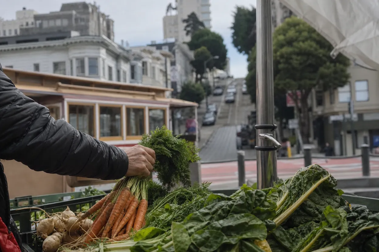 Editorial detail for USDA Salmonella Jalapeño Meat Alert: San Francisco Public Health Verification