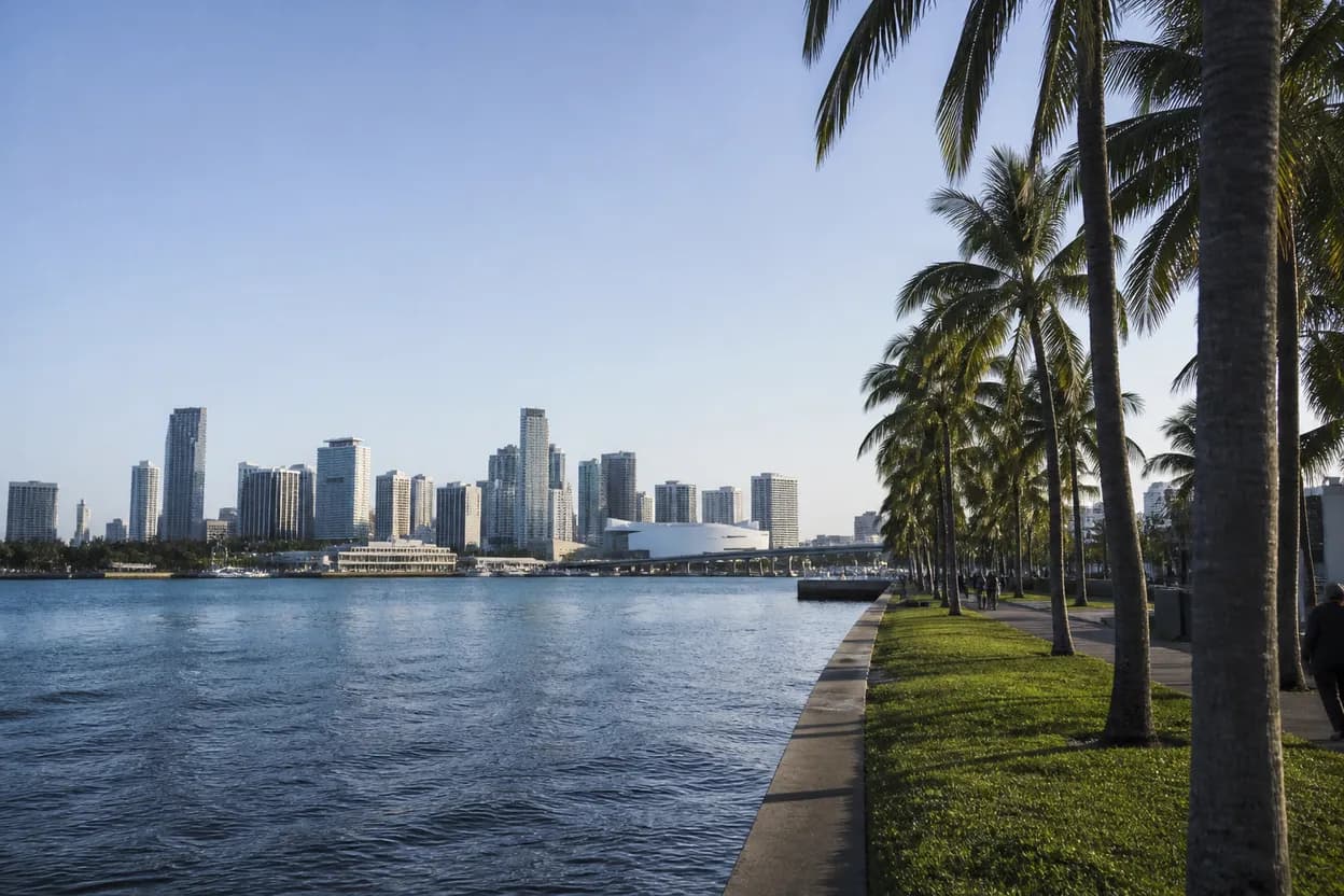 Realistic city scene for spacex rocket crashes on the moon: A Free Miami Day With Backups