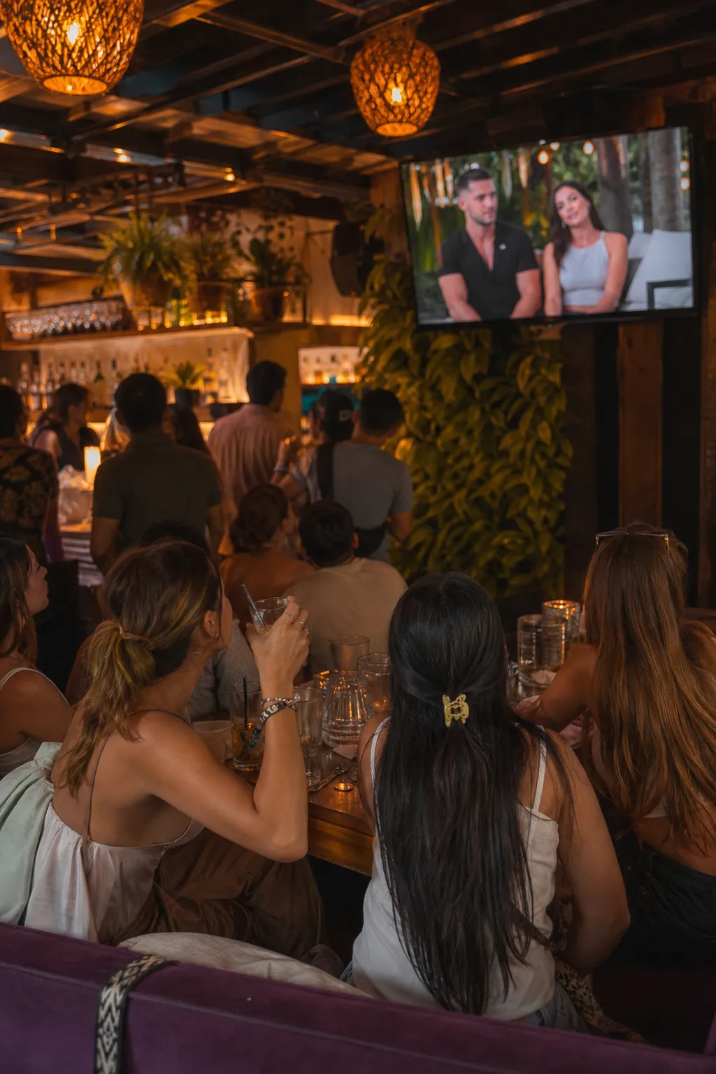 Cover for Harry Jowsey Reality TV Context: Miami Bars with Reality Show Viewing Parties in Miami