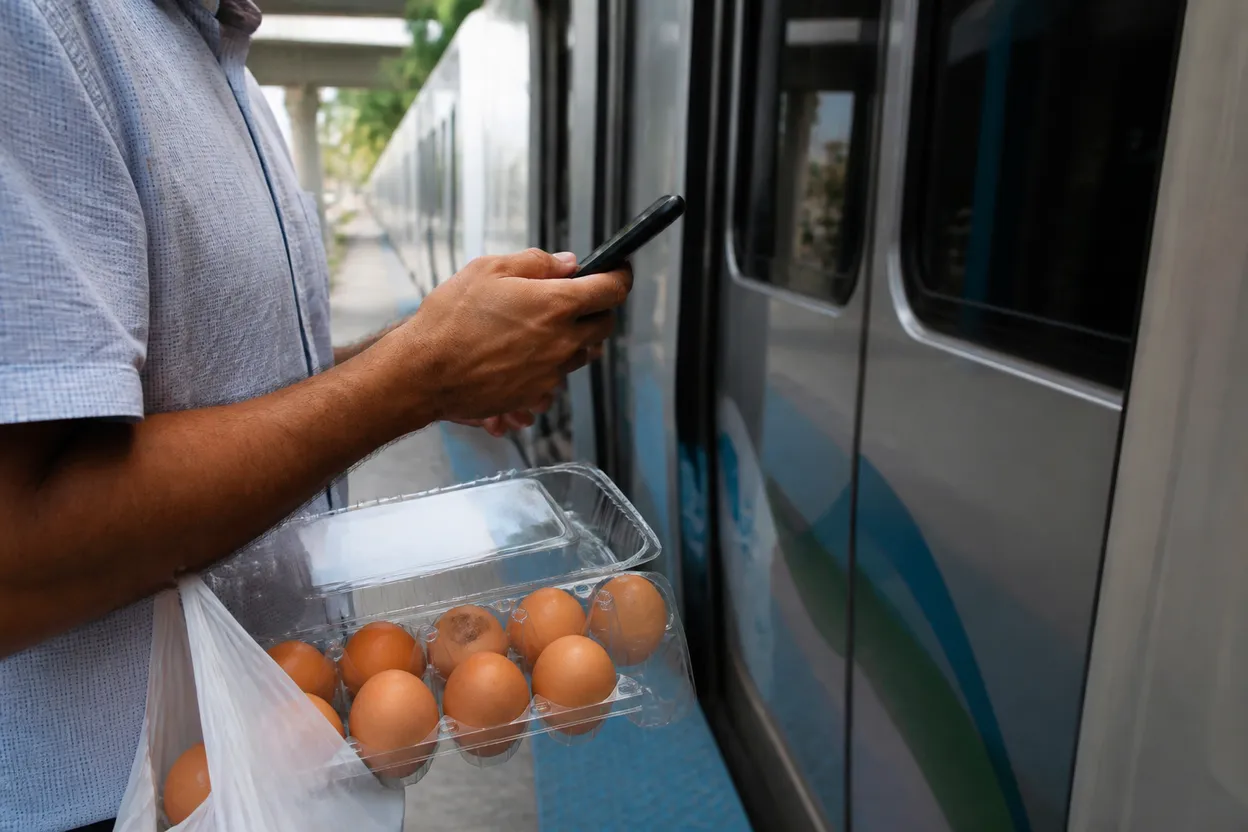Local detail for salmonella outbreak linked to eggs: How to Navigate Miami Without Guessing