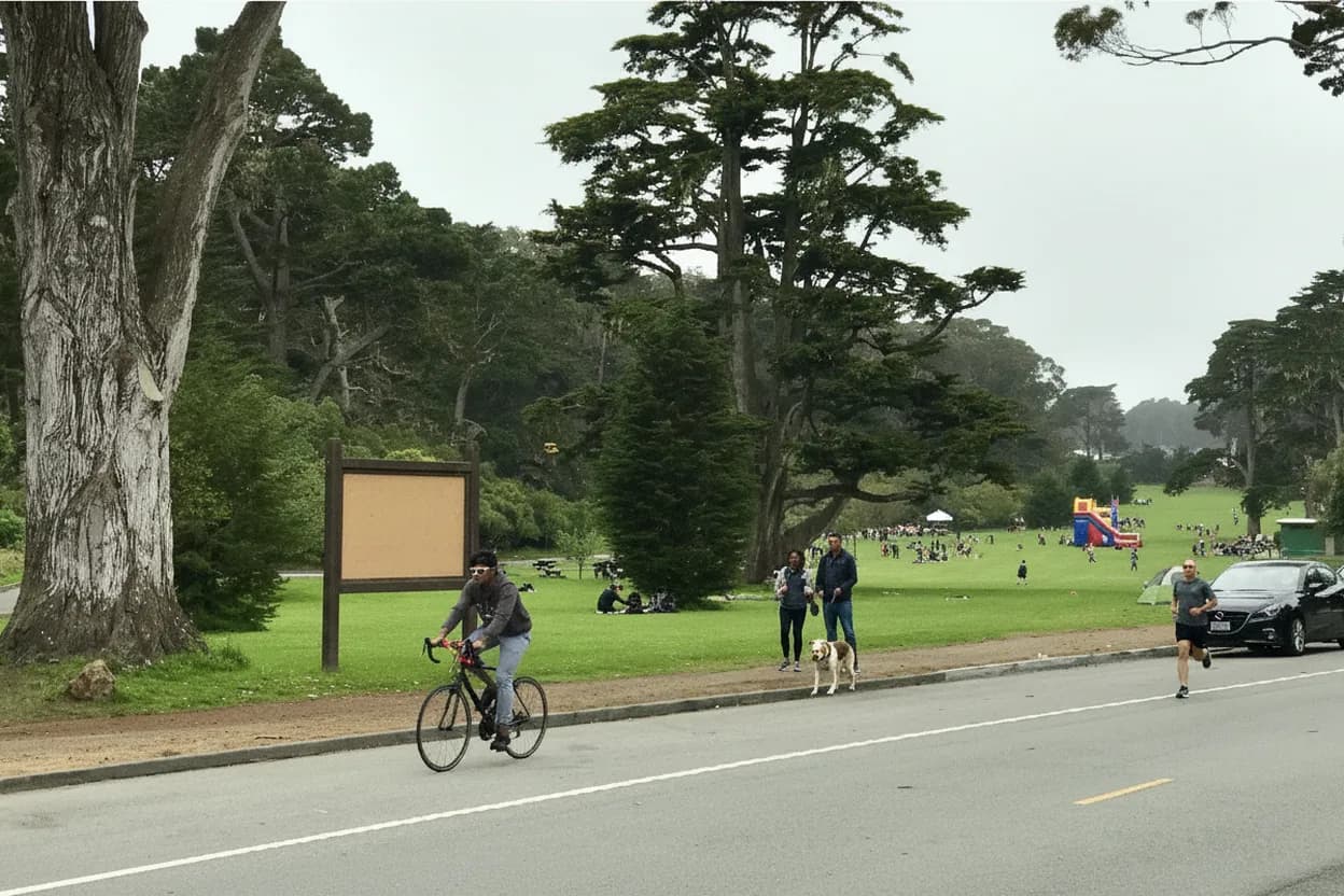 San Francisco experience scene for robby albarado Free Walk From Polo Field To Bison Paddock
