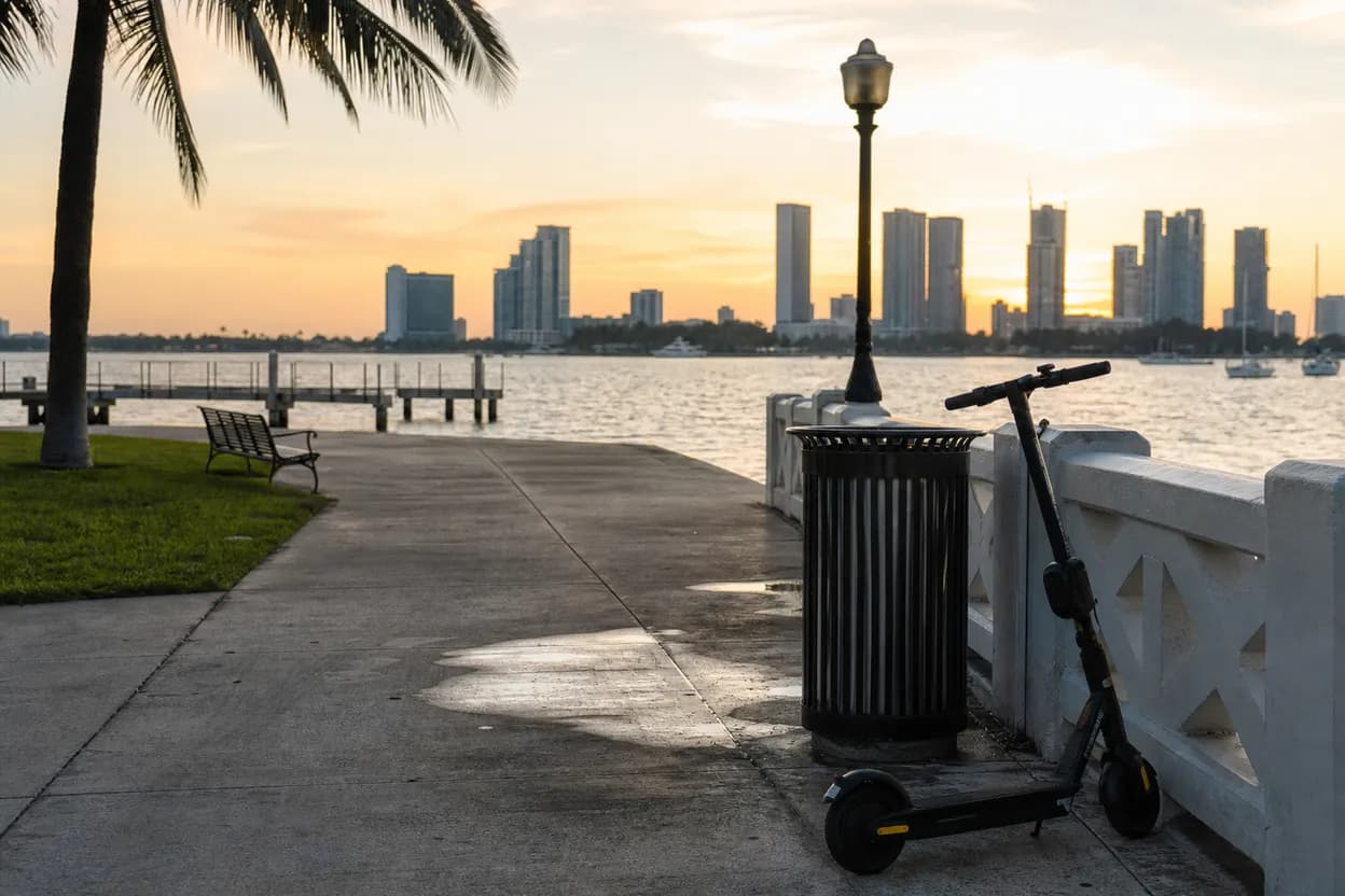 Editorial detail for seahawks Searchers Can Try Miami's Free Biscayne Bay Bird Route