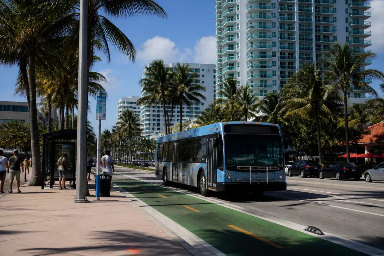 Realistic city scene for elliot page: How to Choose a Miami Food Hall