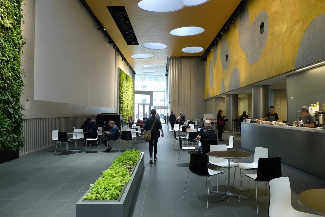 NYC experience scene for Lincoln Center Atrium Free Performance Backup for a Rainy Night
