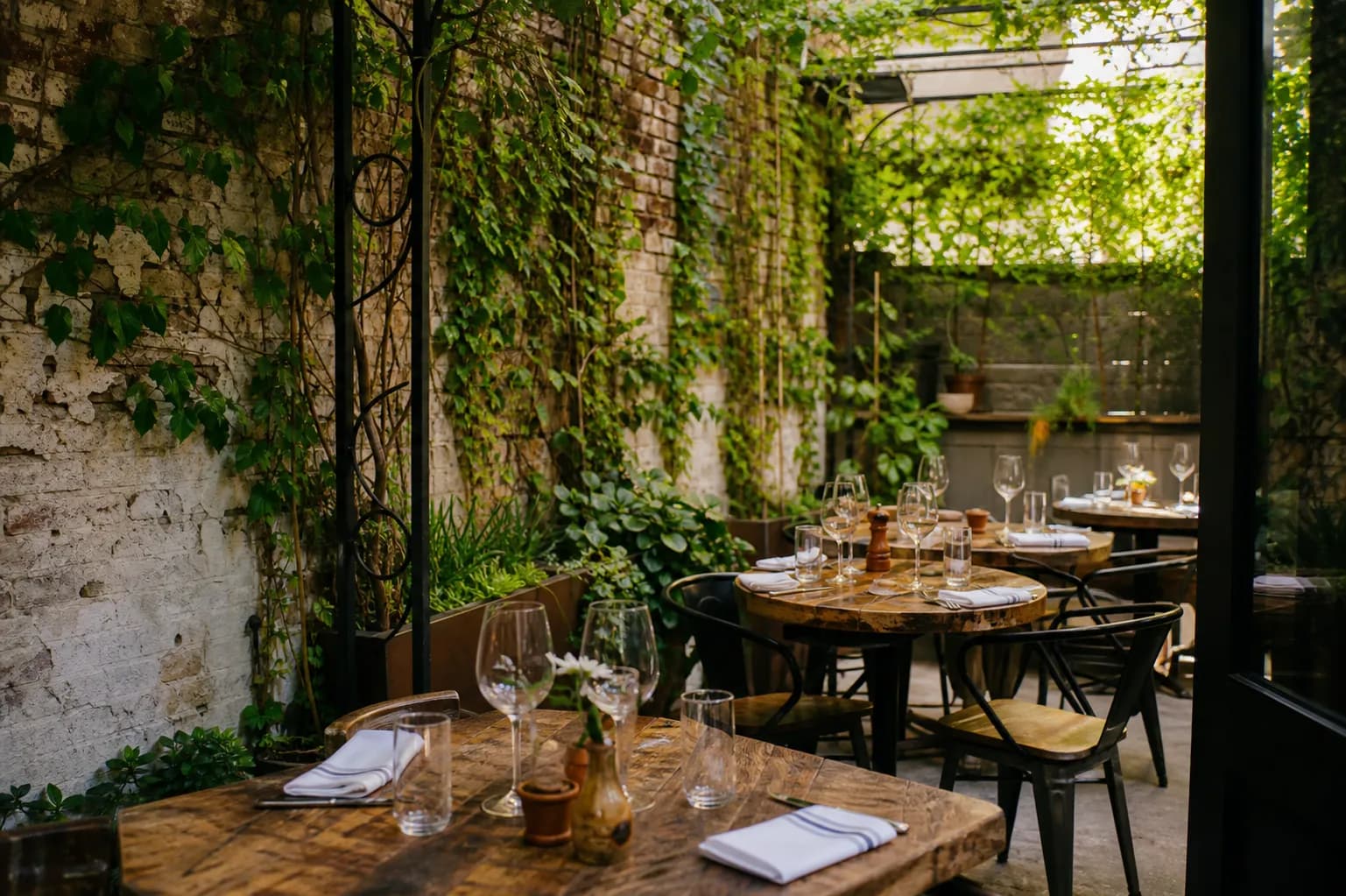 The green, vine-covered outdoor garden patio at A.O.C. restaurant in Los Angeles.