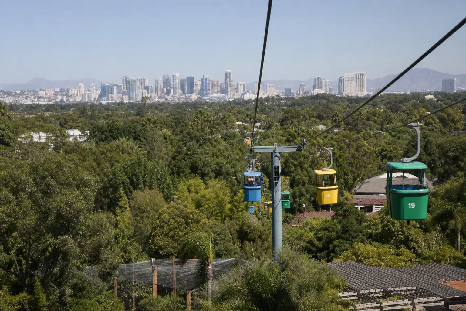 Skyfari aerial tram cabins carrying visitors over the lush forest canopy of the San Diego Zoo.