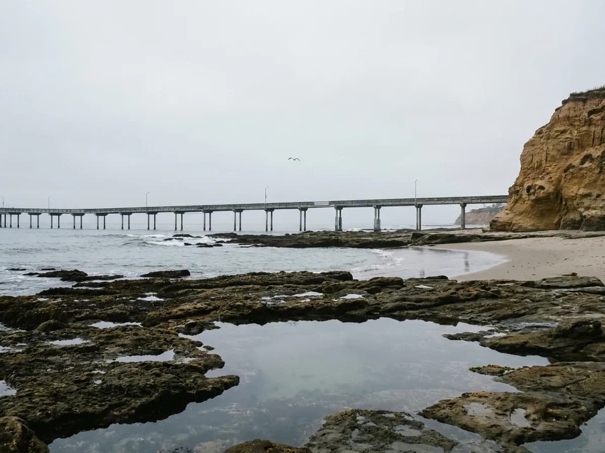 Dark reef shelves and shallow tide pools exposed at low tide, with a curve of sand and a bluff beyond under flat marine-layer light