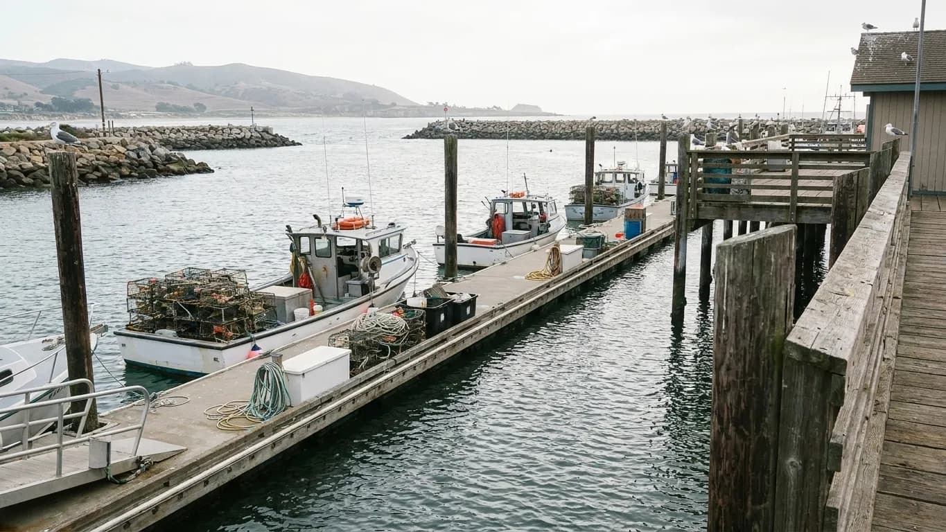 A working Southern California fishing harbour with small commercial boats, stacked traps and a breakwater behind