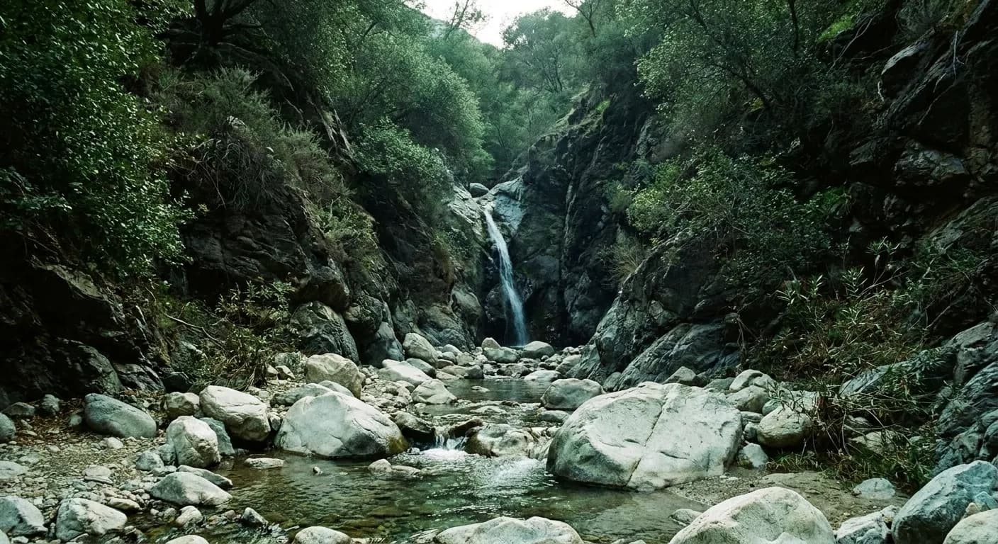A narrow shaded canyon above Los Angeles with a creek running over pale boulders and a thin waterfall in the distance