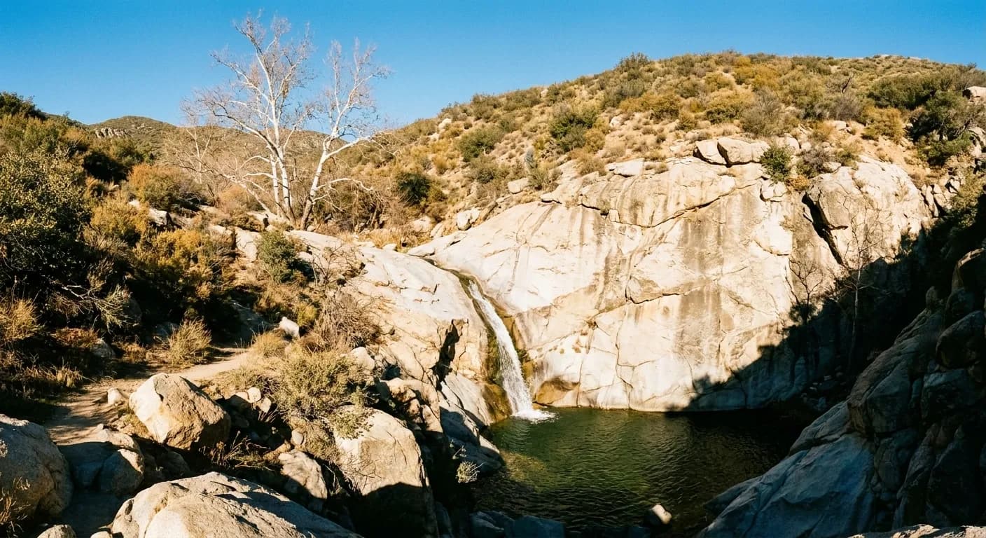 A narrow waterfall dropping down a pale granite face into a green pool in a Southern California canyon, chaparral and a sycamore above