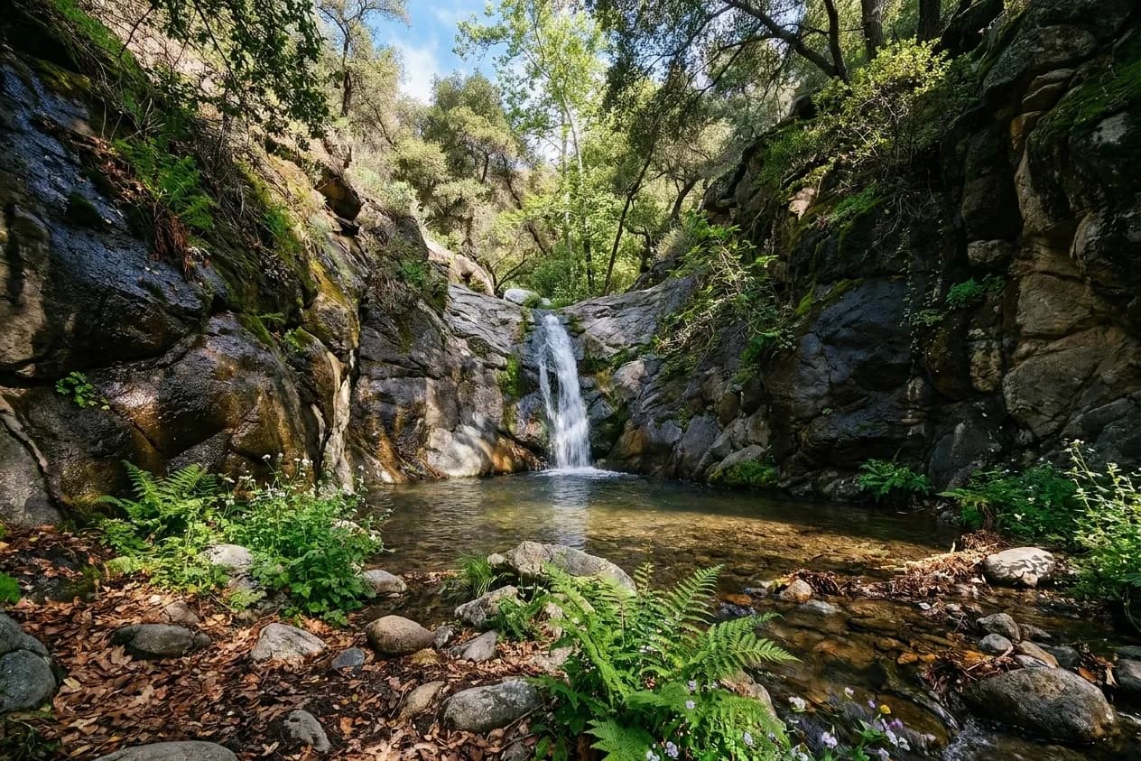A narrow Southern California canyon waterfall dropping into a shallow rock pool between wet dark stone walls