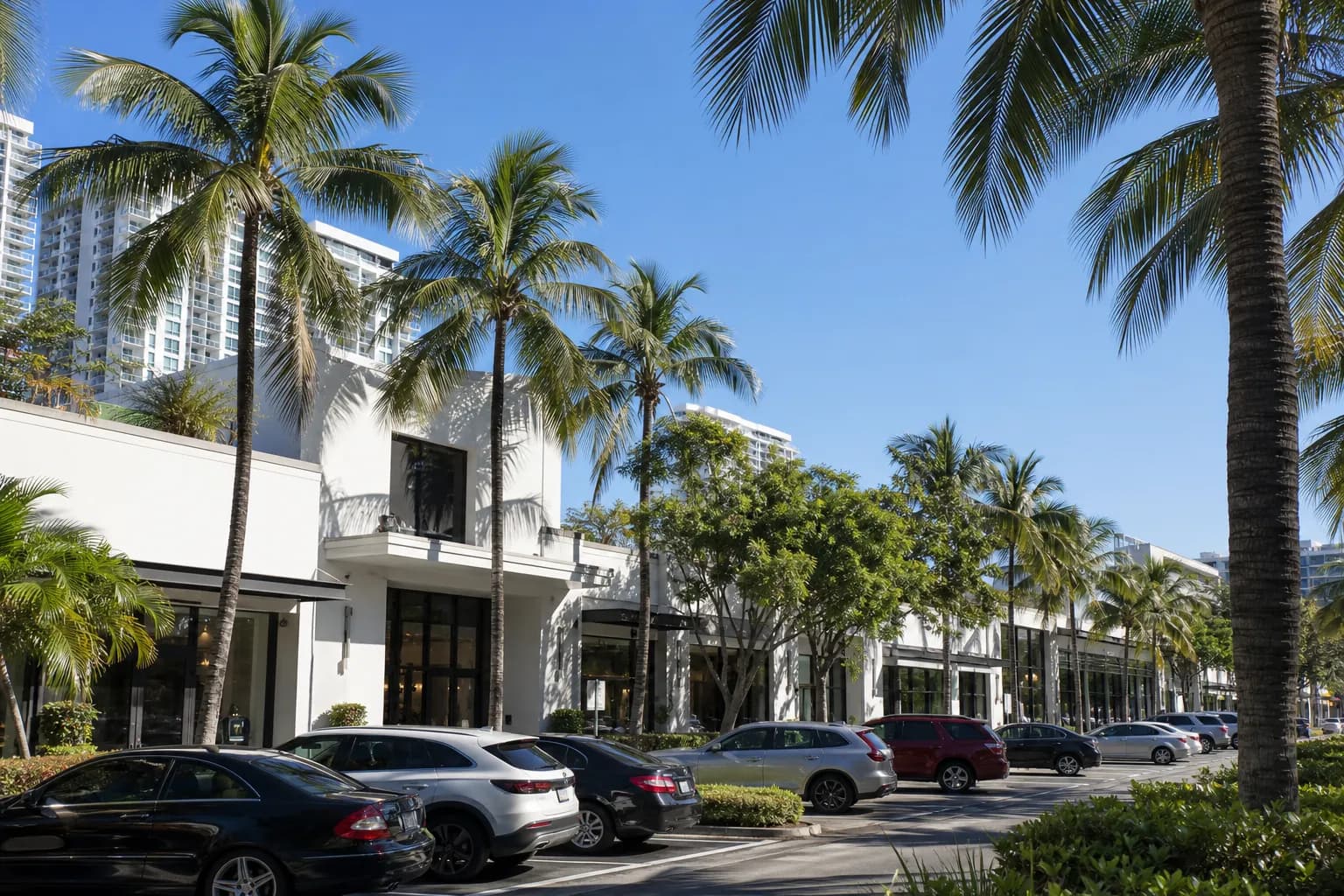 A sunny shopping plaza in Edgewater Miami, featuring palm trees and a storefront parking lot.