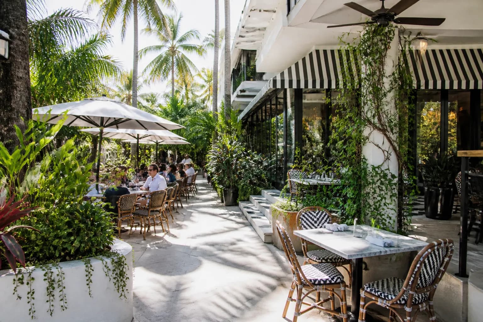 A wide, sun-drenched outdoor plaza in Miami's Design District with palm trees and modern architecture