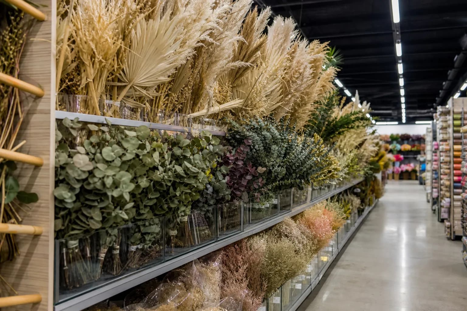 Shelves filled with dried tropical botanicals and pampas grass in a spacious craft store aisle.