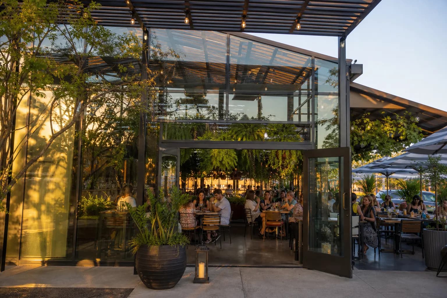 The sleek modern exterior facade of Sixty Vines at The Plaza Coral Gables, showing glowing indoor lights and outdoor patio seating at dusk.