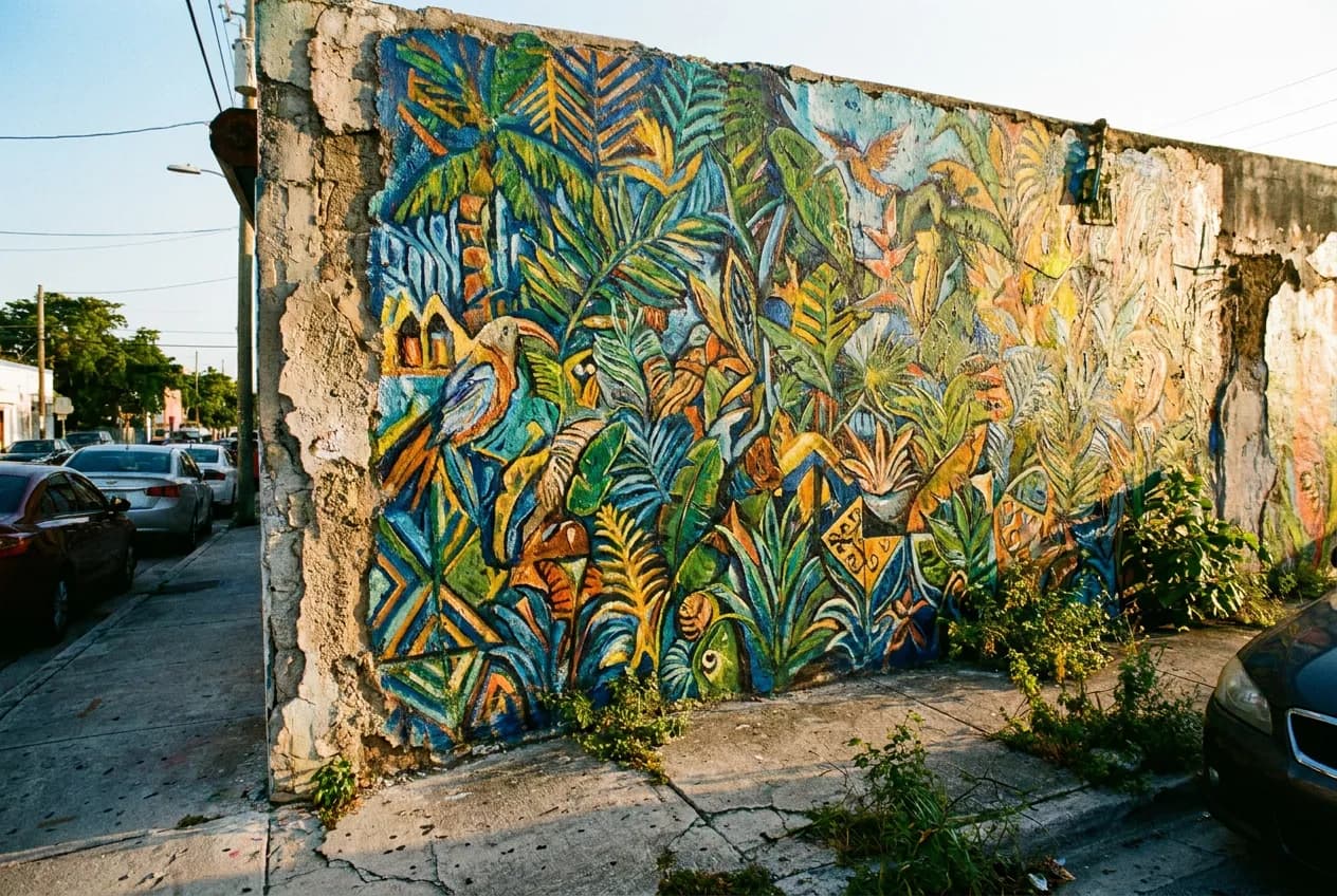 Sweat Records in Little Haiti, Miami — scene photograph