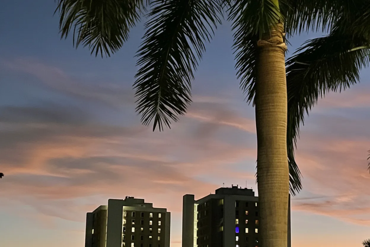 Miami experience scene for mlb trades: Miami Social Sports Guide