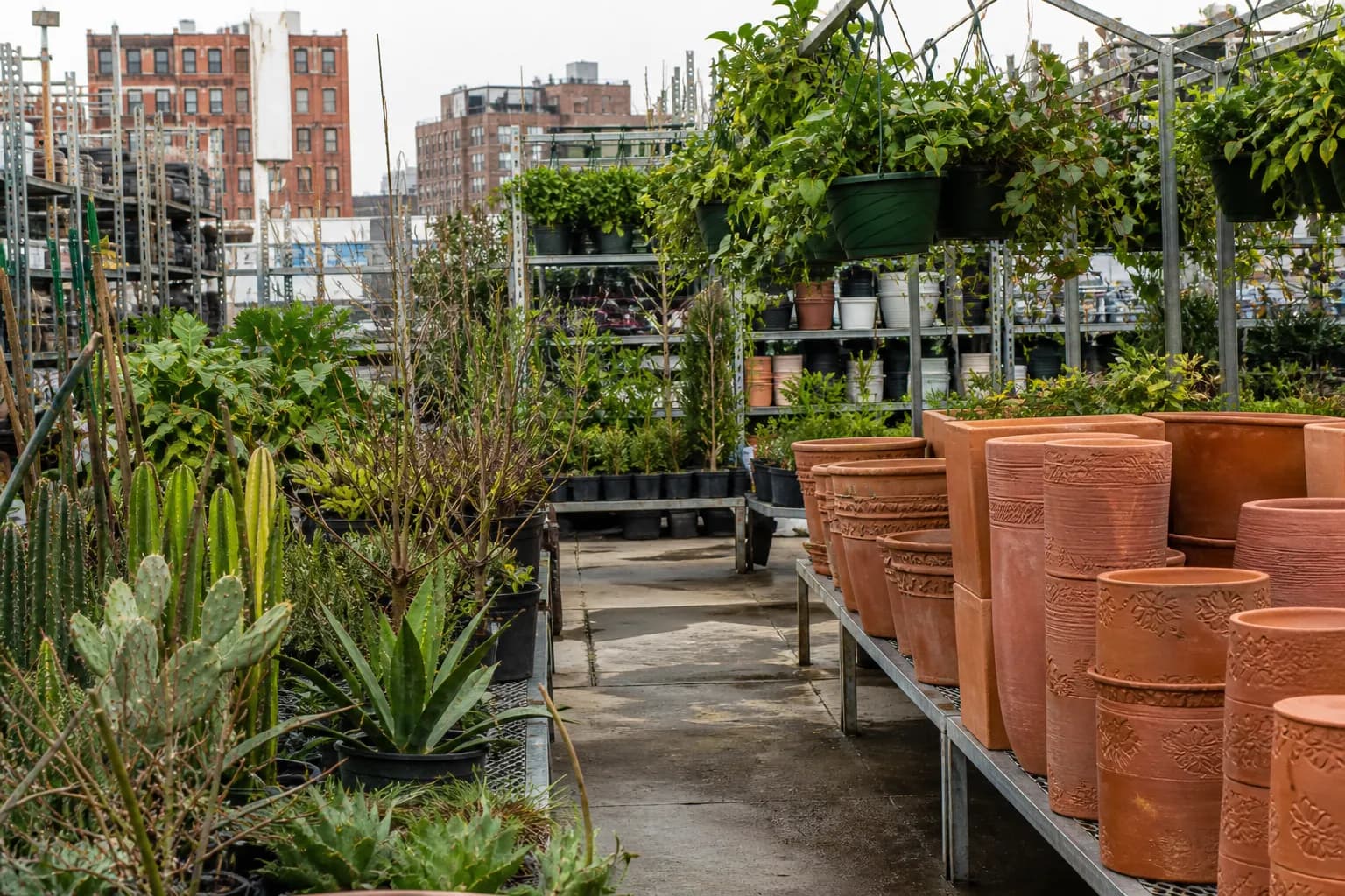 An outdoor rooftop nursery at a Brooklyn hardware store filled with racks of green house plants and terracotta pots.