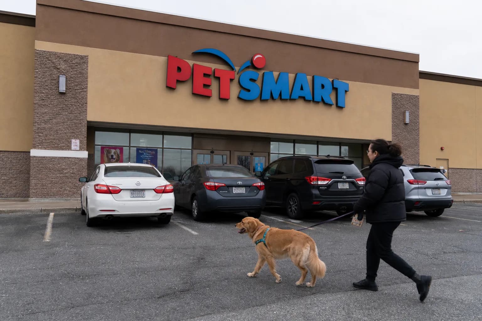 Exterior of a Brooklyn PetSmart store with parking lot