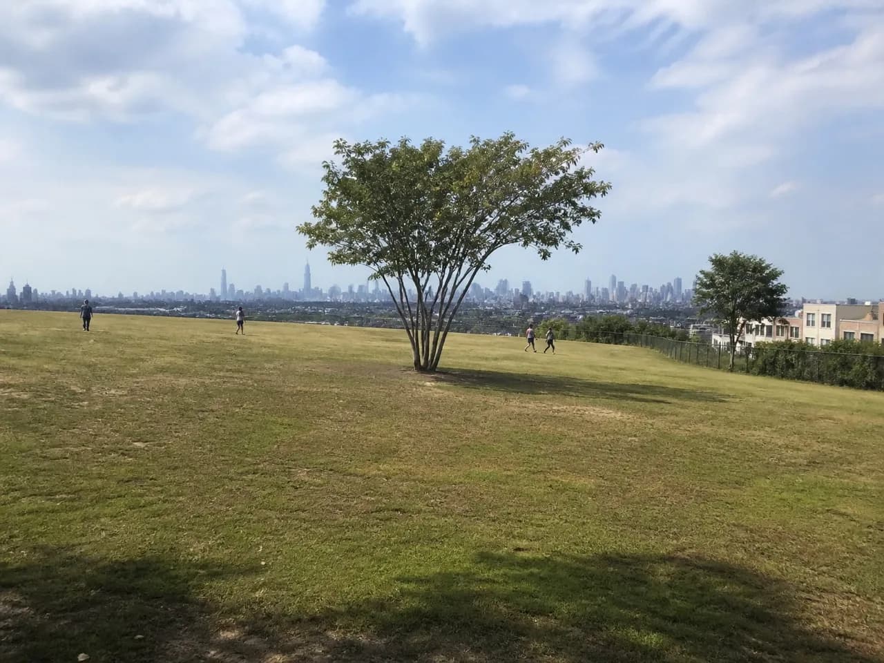 Open park lawn on a Brooklyn hilltop with the skyline beyond