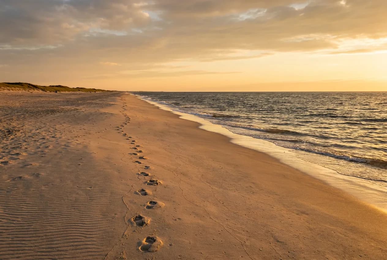 A long empty beach at golden hour with gentle waves and a single set of footprints in the sand