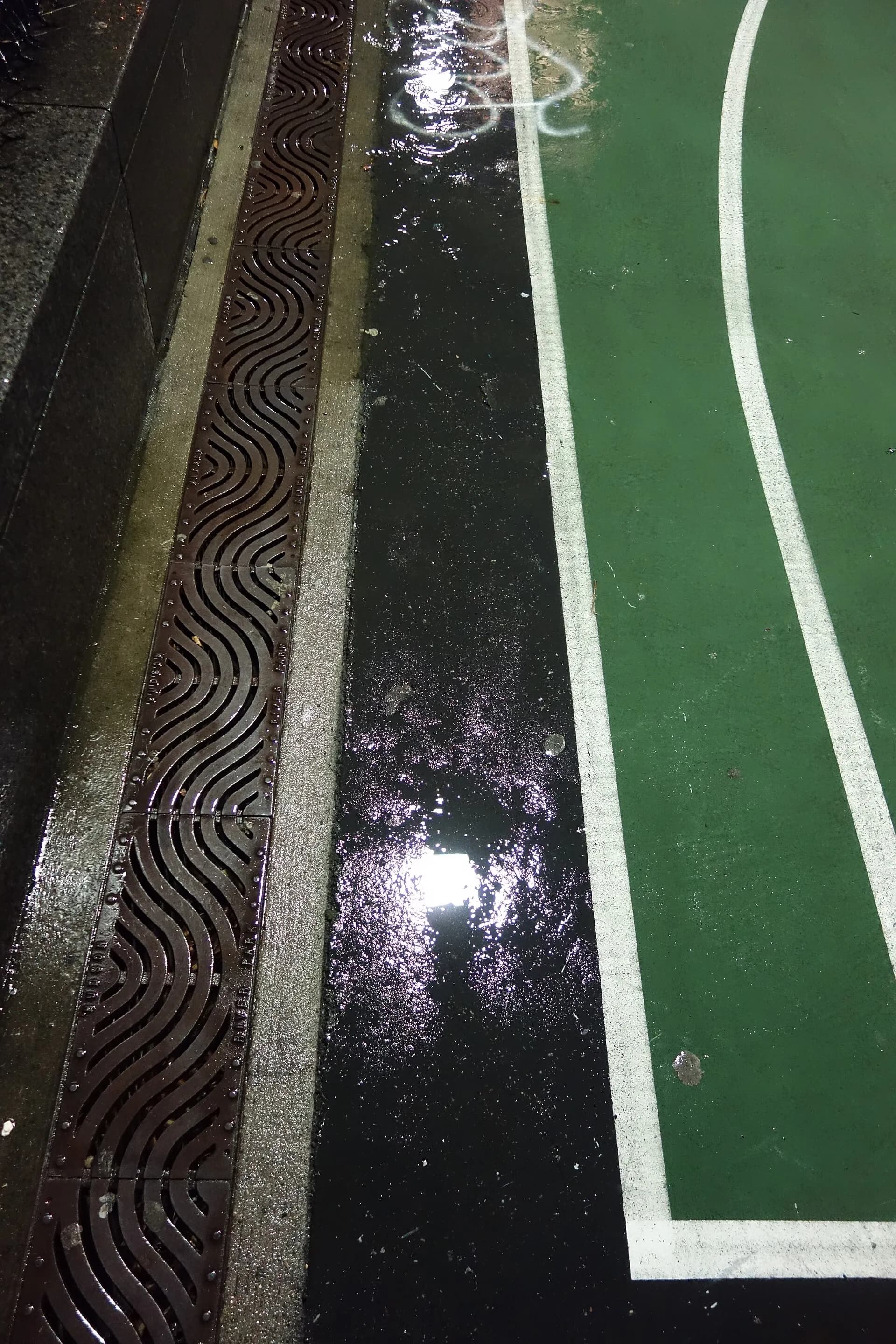 Real reference photograph for Severe Thunderstorm Warning Plans for a Day in NYC in New York City.