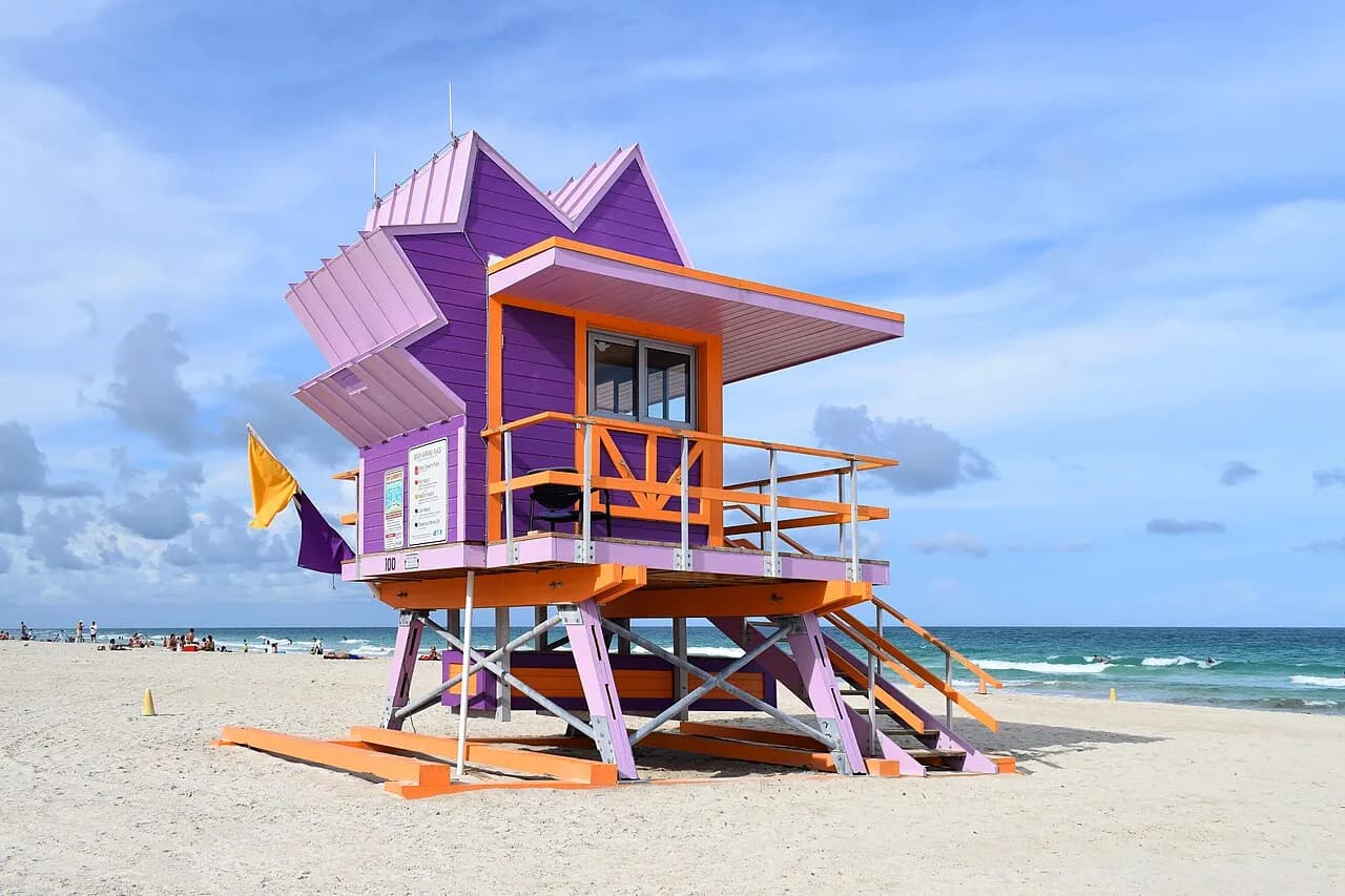 Real reference photograph for Shaded Summer Walks Through Bayfront Parks in Miami in Miami.