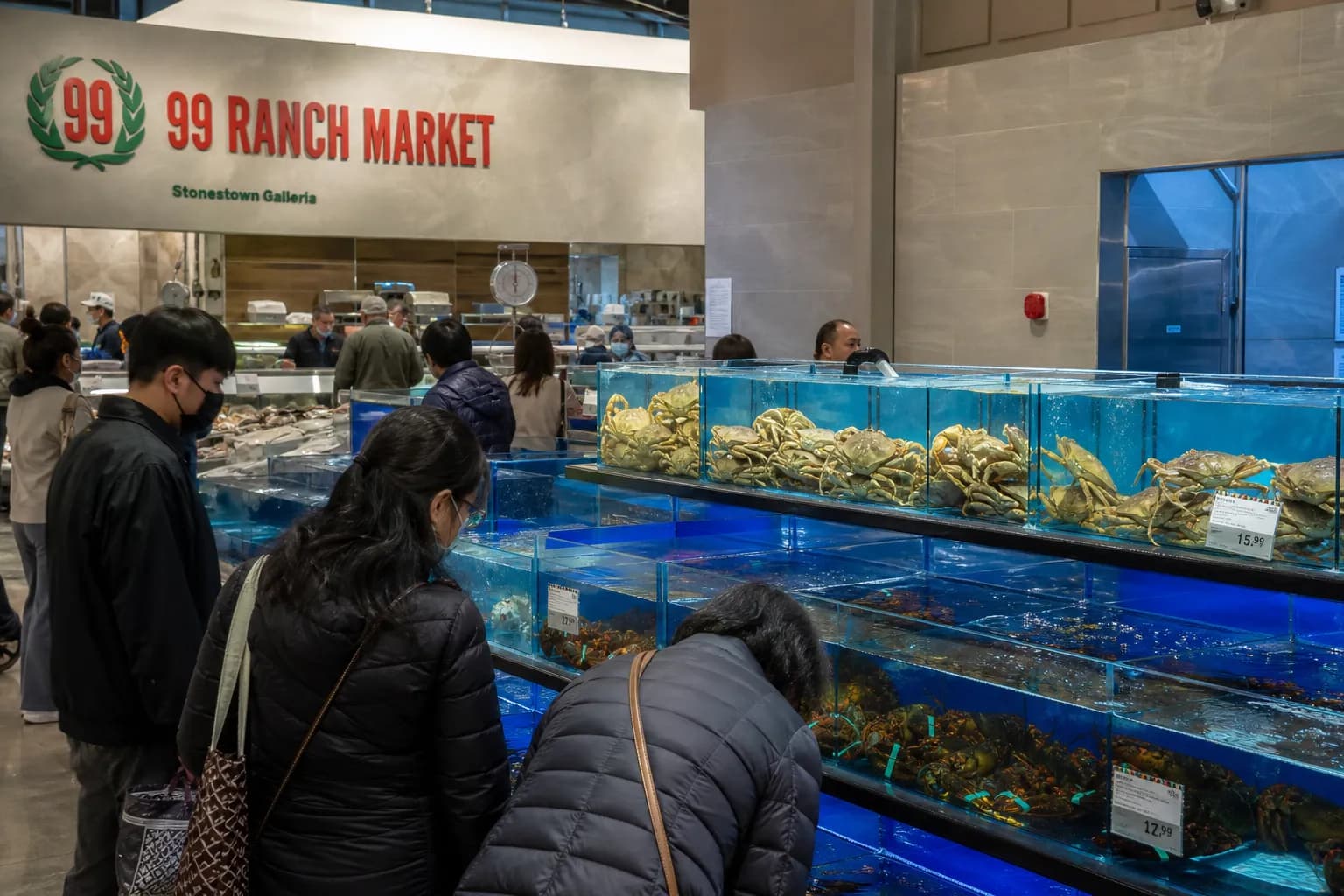 Live seafood tanks with crabs and lobsters at the Stonestown 99 Ranch Market.