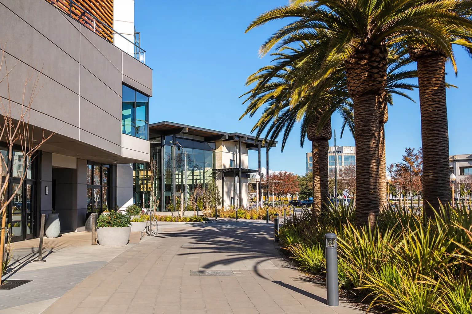 The outdoor shopping plaza walkways at South Shore Center in Alameda on a sunny day.