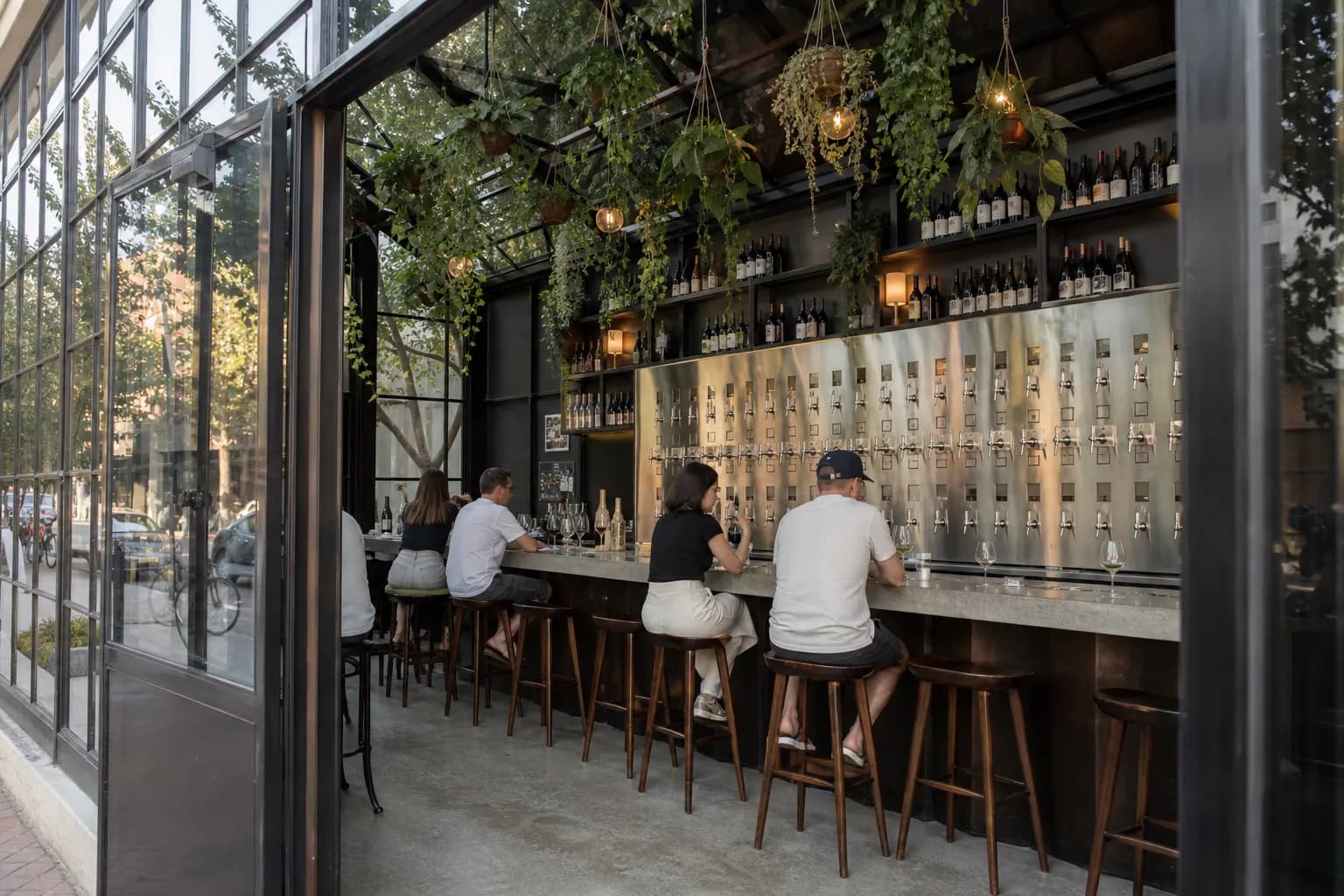 The modern, glass-paneled storefront of a contemporary wine bar surrounded by lush green potted plants under warm evening lighting.