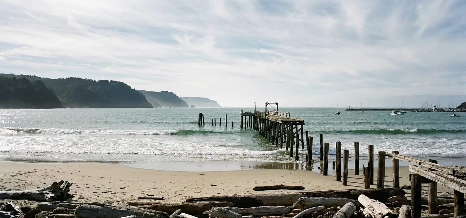 A long crescent of pale sand on the Northern California coast with dark headlands stepping into haze and cold green surf breaking in even lines