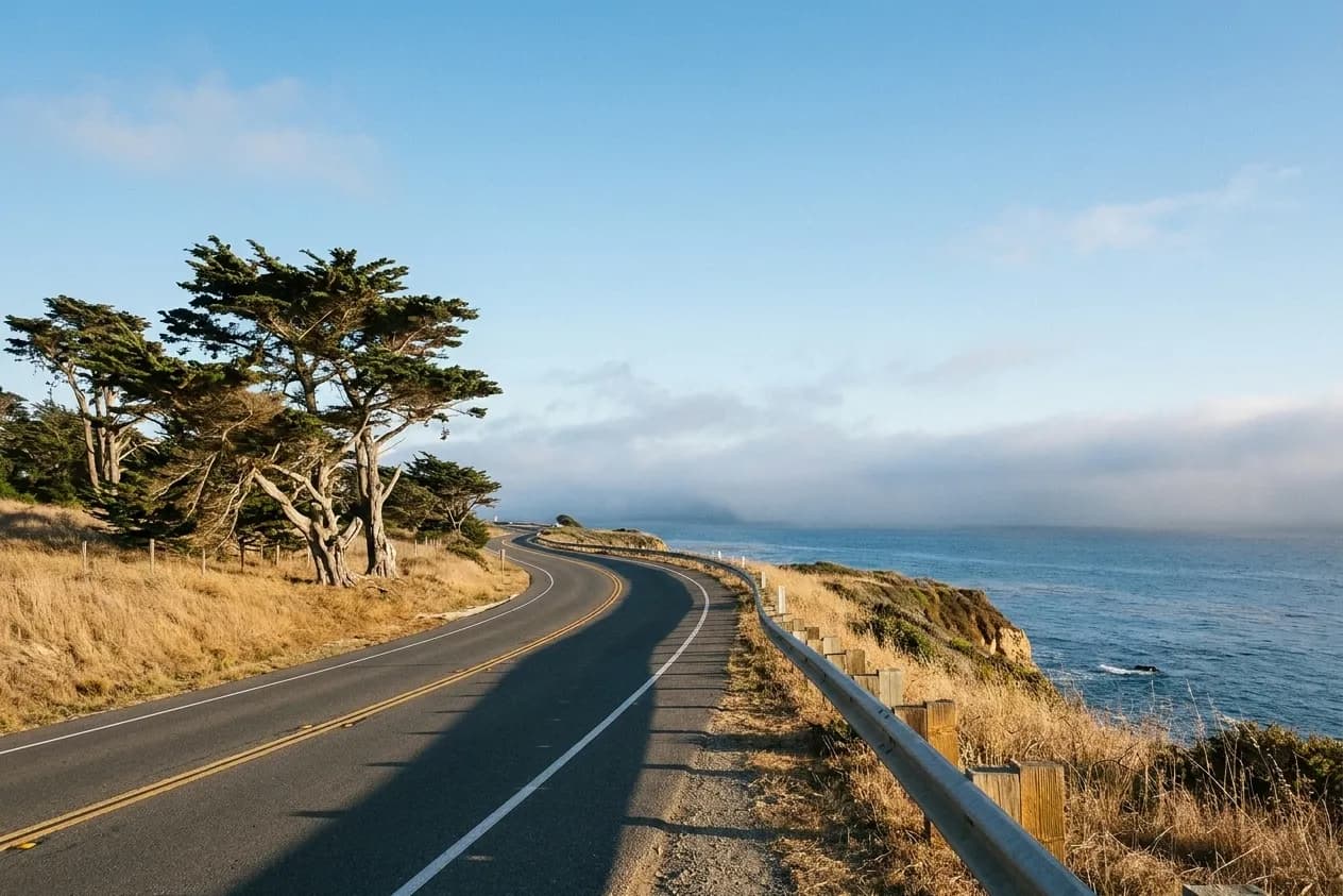 A two-lane coastal road curving along a cliff edge with dry grass and cypress inland and a bank of low fog offshore
