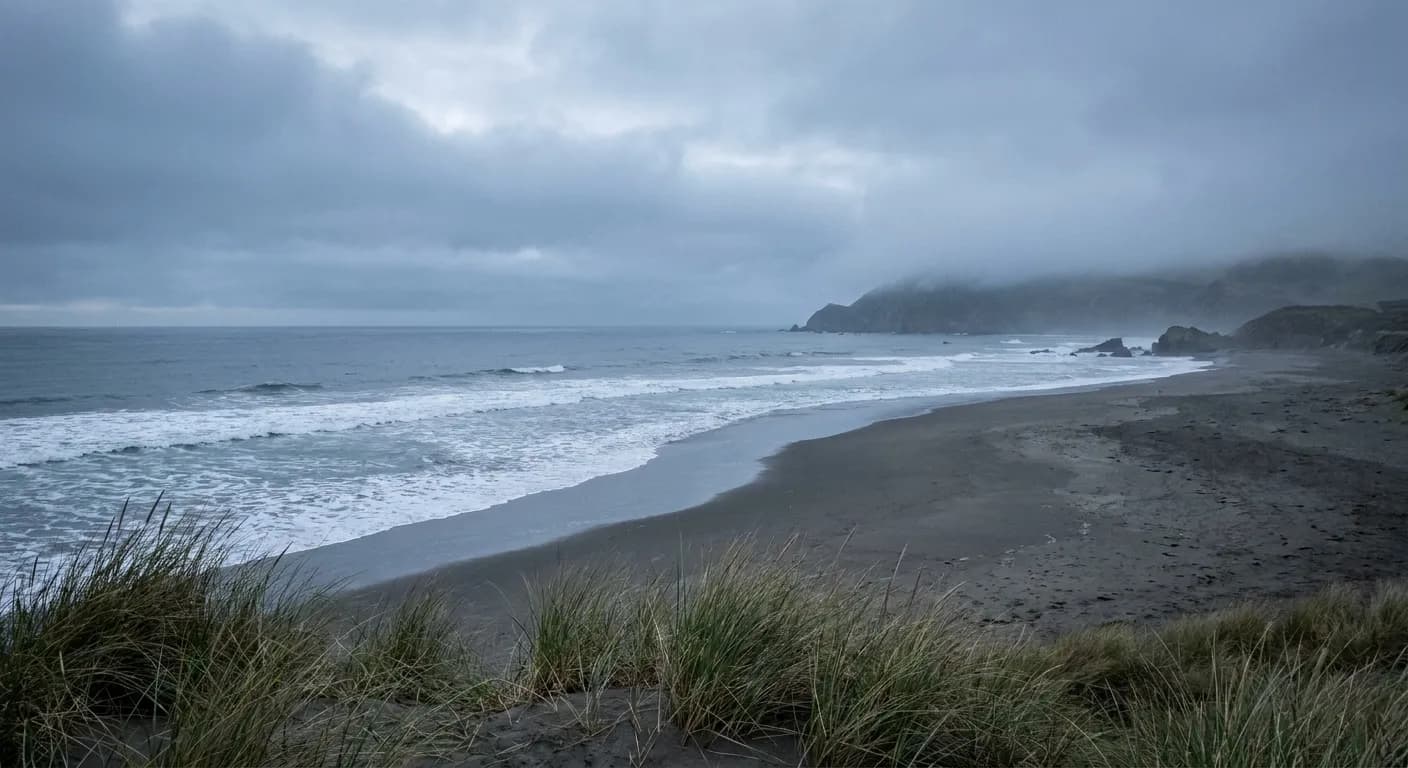 A wide Northern California shoreline with dark wet sand, ragged surf and a headland dissolving into fog