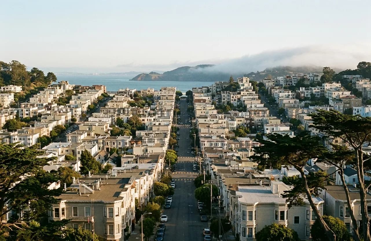 A hilltop view over stepped rows of San Francisco rooftops toward the bay with fog rolling over a ridge and wind-bent cypress in front