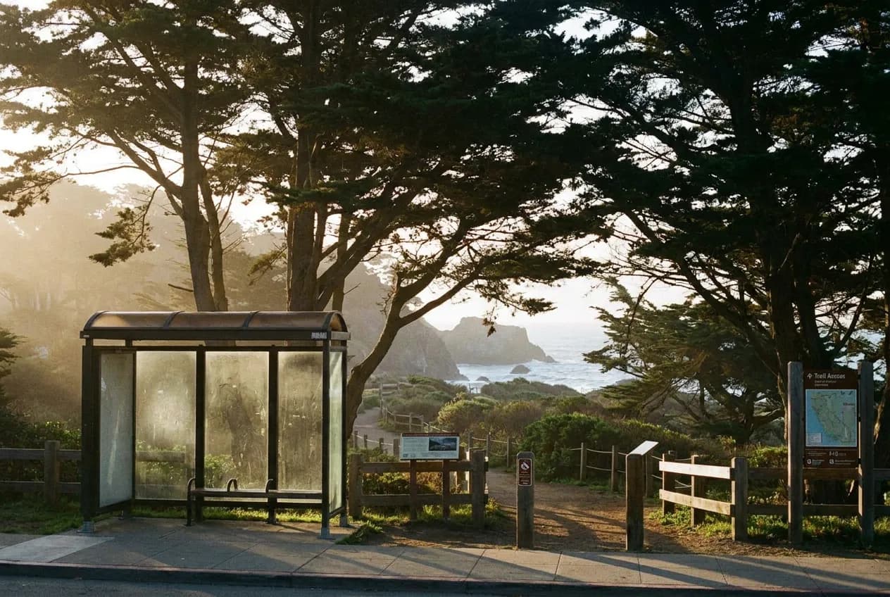 Lands End Trail in Sea Cliff, San Francisco — cover photograph