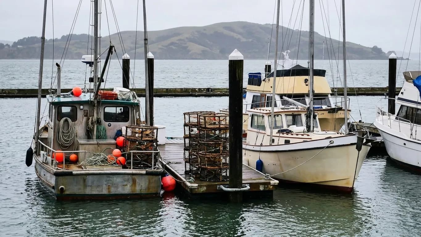 A working San Francisco fishing berth with small boats tied along a dock and crab pots stacked on the planks under an overcast sky