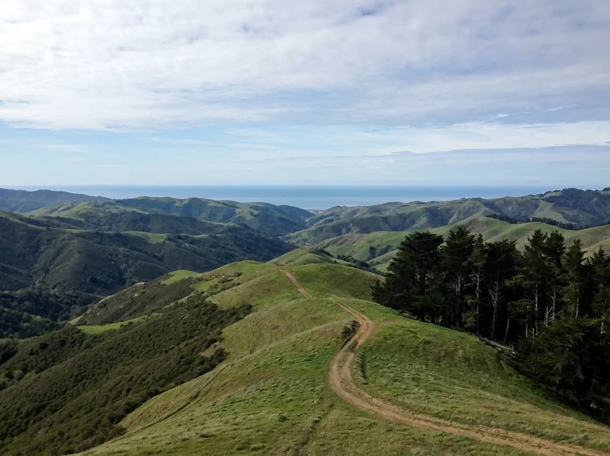 Green hills folding away in layers toward a distant strip of ocean, with a dirt ridge track in the foreground and dark cypress on one flank