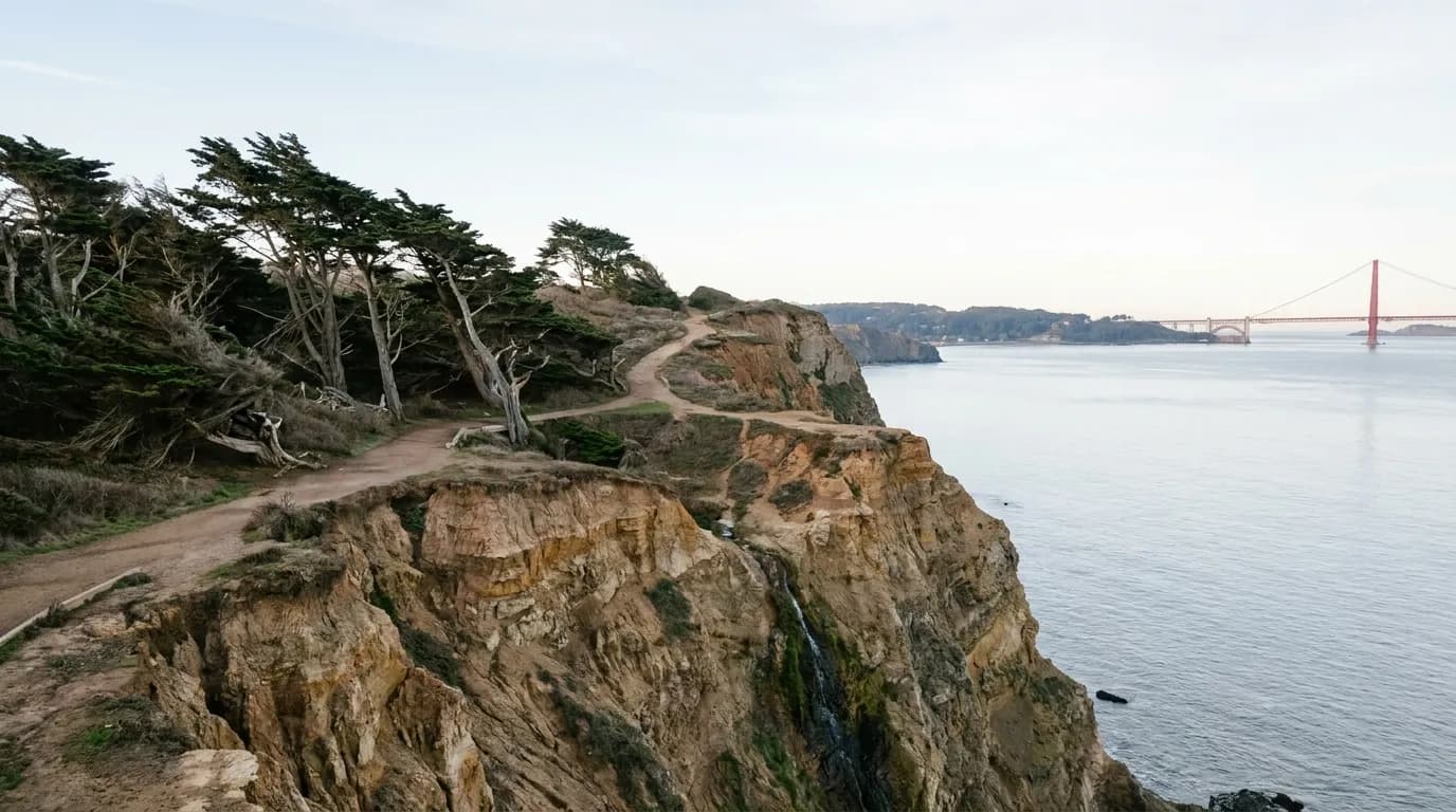 A dirt bluff trail at the northwest corner of San Francisco on a clear winter morning, wind-leaning cypress beside crumbling cliffs above a flat silver Pacific, with a bridge tower small in the distance
