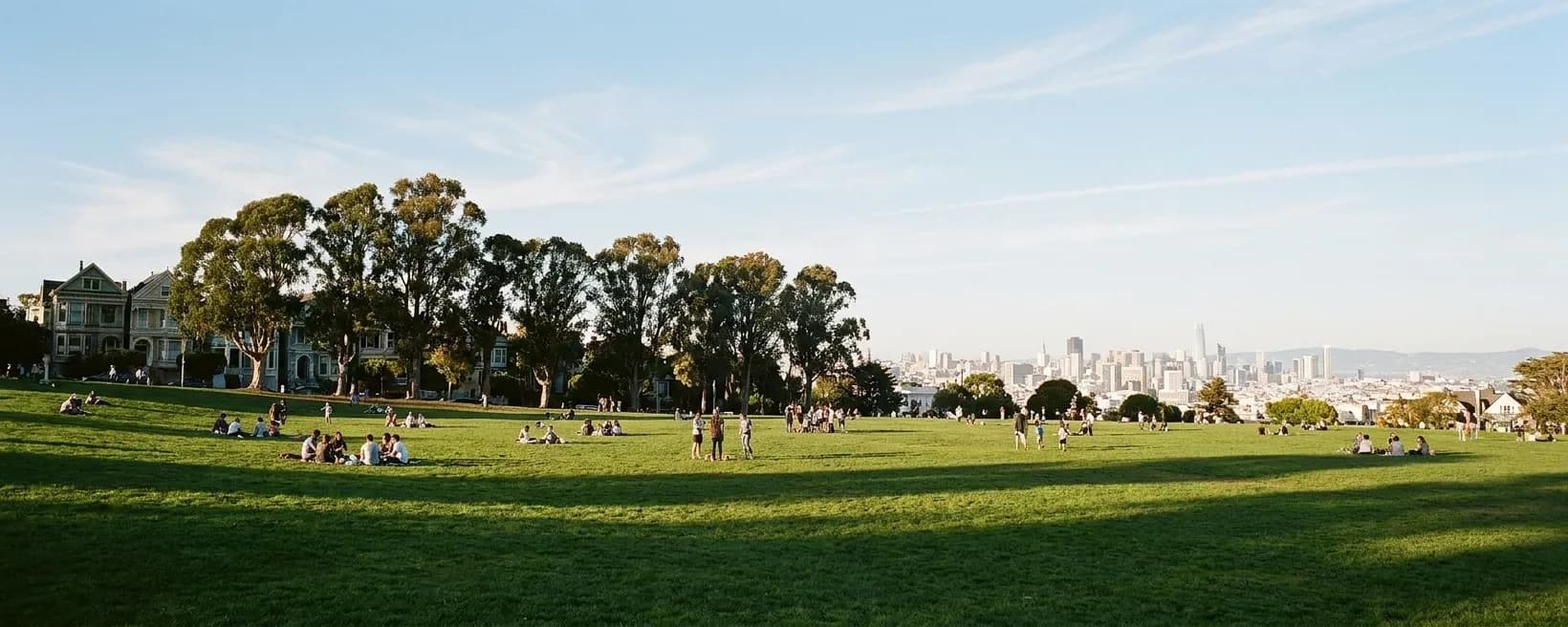 A wide city park lawn with groups scattered across the grass, eucalyptus along one edge and a low band of skyline on the horizon
