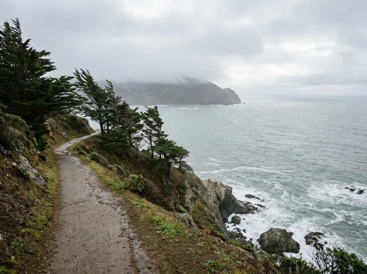 A coastal cliff path above the Pacific in flat morning light, cypress trees on one side and the ocean below, nobody else on the trail